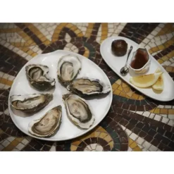 Assiette à Huîtres Blanche 26 x 24 cm Impulse Revol