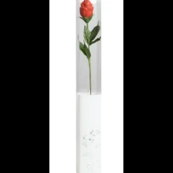 Boites Transparentes pour Fleur en Chocolat x200 Chocolate World