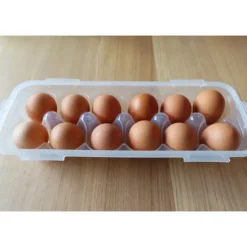 Boîte 12 Œufs Plastique 32 x 13 cm x H 7,5 cm Lock and Lock