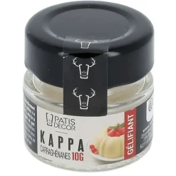 Carraghénanes Kappa 10 g Patisdécor