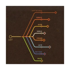 Chocolat au Lait Alunga 41% 5 kg