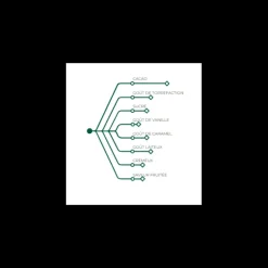 Chocolat au Lait Alunga 41% 1 kg