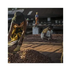 Chocolat de Couverture Noir Millot 74% Bio 250g Valrhona