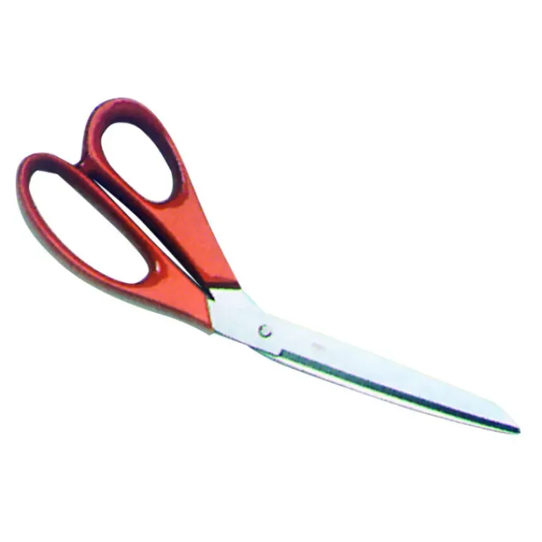 Ciseaux à Poisson 25 cm en inox