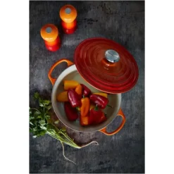 Cocotte en Fonte Ronde 22 cm Volcanique Le Creuset Signature
