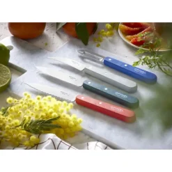 Coffret 3 Couteaux de Cuisine et un Eplucheur Primo Les Essentiels Opinel