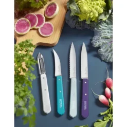 Coffret 3 Couteaux de Cuisine et un Eplucheur Art Déco Les Essentiels Opinel