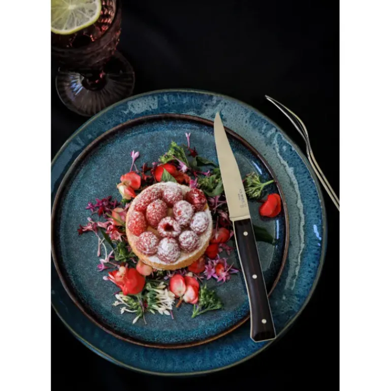 Coffret 4 Couteaux de Table Frêne Sombre Facette Opinel