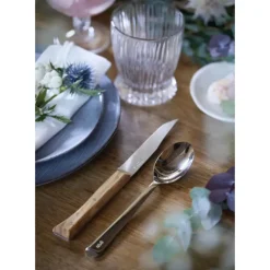 Coffret 4 Couteaux de Table Olivier Facette Opinel