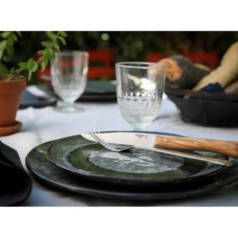 Coffret 4 Couteaux de Table Olivier Facette Opinel
