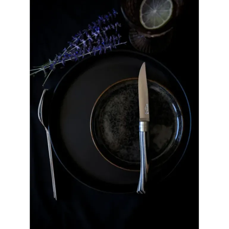 Coffret 4 Couteaux de Table Bouleau Lamellé Table Chic Opinel