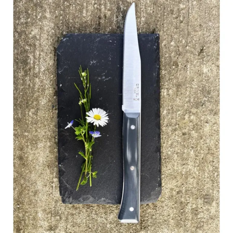 Coffret 4 Couteaux de Table Ardoise Facette Opinel