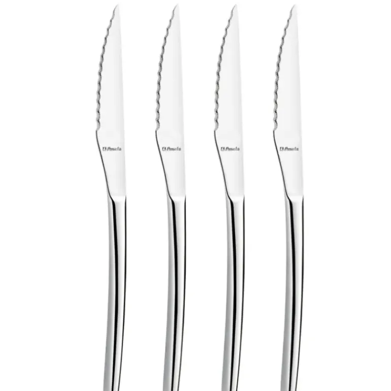 Coffret 4 Couteaux Steak Aurora 22,7 cm Amefa Premiere