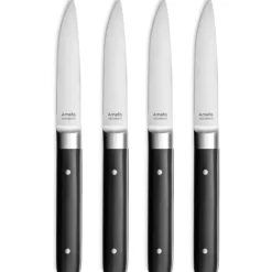 Coffret 4 Couteaux Steak Fusion 22 cm Amefa