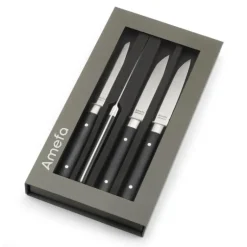 Coffret 4 Couteaux Steak Fusion 22 cm Amefa