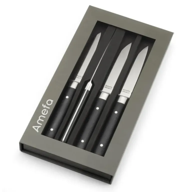 Coffret 4 Couteaux Steak Fusion 22 cm Amefa