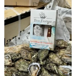 Coffret Huîtrier Terre Exotique
