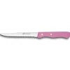 Couteau à Steak Cranté 11,5 cm Sabatier Fuschia