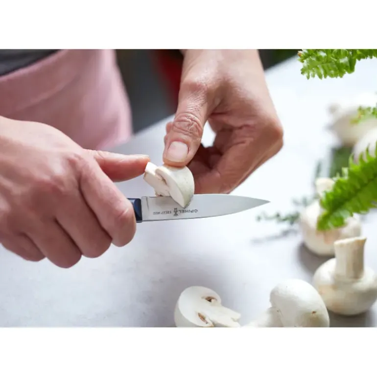 Couteau d'Office N°225 Intempora Opinel