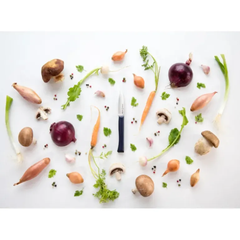 Couteau d'Office N°225 Intempora Opinel