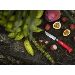 Couteau N°8 Baroudeur Rouge Colorama Opinel