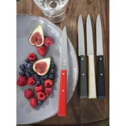 Couteaux de Table (x4) Loft Bon Appétit ! Opinel