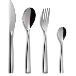 Cuillère à Dessert Ibiza (x12) Inox 18/10 3,5 mm Comas