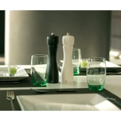 Duo Moulin à Poivre et à Sel Tahiti 20 cm Noir et Blanc Peugeot