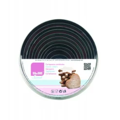 Emporte-Pièces Inox Ronds Unis x 11 Ibili