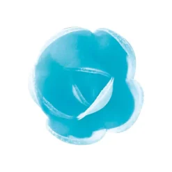 Fleurs de rose bleue x6, grandes feuilles x12 - en Azyme