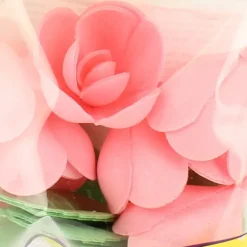 Fleurs de roses x6, grandes feuilles x12 - en Azyme