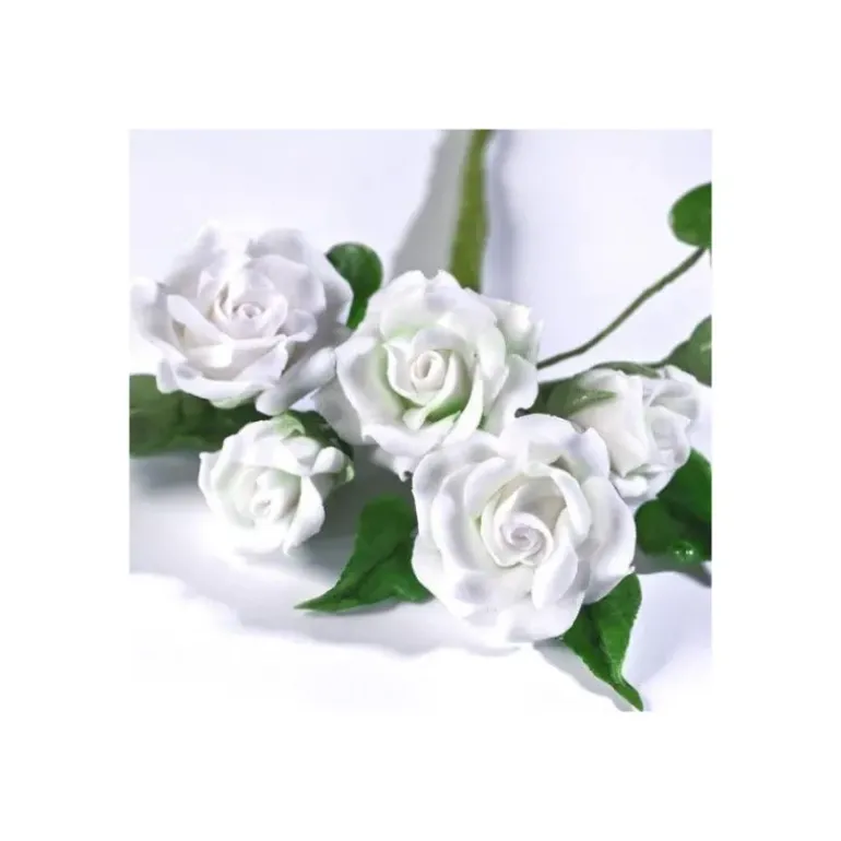 Gum Paste Renshaw Blanc 250 g