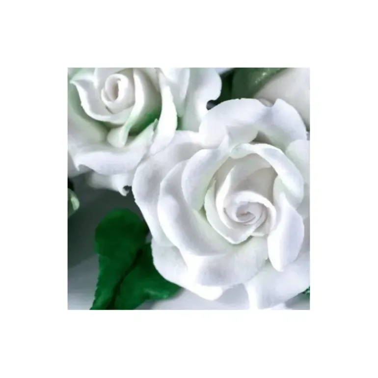 Gum Paste Renshaw Blanc 250 g