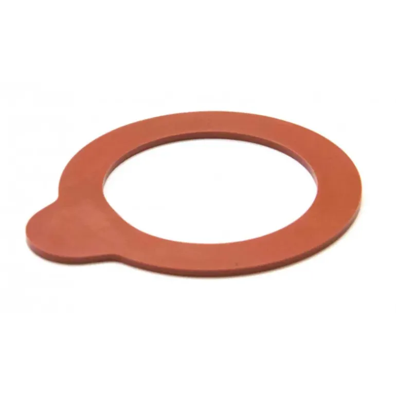 Joint Caoutchouc pour Bouteille (x6) Lock Eat