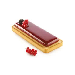 Kit Moule Silicone 1 Tarte Rectangle 265mm Silikomart Professional