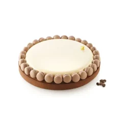 Kit Moule Silicone 1 Tarte Ø 250mm Silikomart Professional