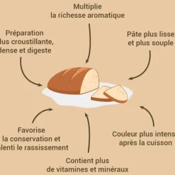 Levain blé dur pour pain et levure 150 g Patisdécor