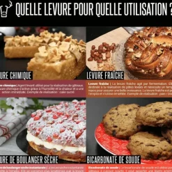 Levure boulangère sèche 300 g Patisdécor