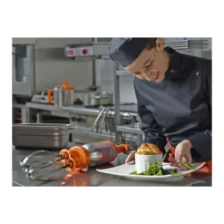 Mixeur Plongeant + Batteur Senior Combi 300 Dynamic