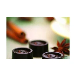 Moule à Chocolat 15 Ronds Easy Choc - Silicone Spécial Chocolat