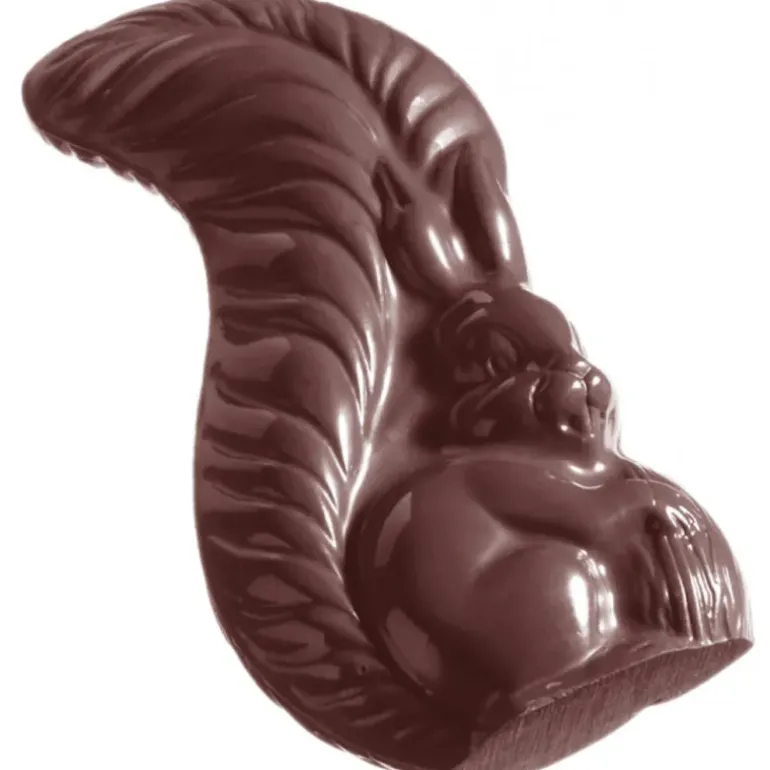 Moule à Chocolat Ecureuil (x6) Chocolate World