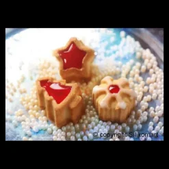 Moule 15 sujets Noël en Silicone