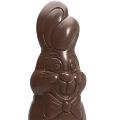 Moule Chocolat Aimanté Buste Lapin 15 cm Chocolate World
