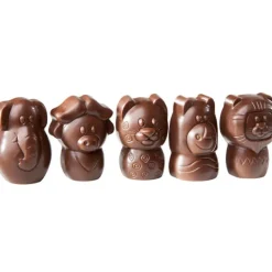 Moule Chocolat Animaux Savane 38,5 mm (x15) Chocolate World