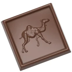 Moule Chocolat Carré Dromadaire 34mm (x21) Chocolate World