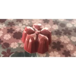 Moule Chocolat Fleur de Cerisier Sakura Kohei Ogata (x21) Chocolate World