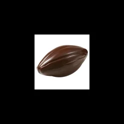 Moule Chocolat Grosse Cabosse 195 mm (x2) Barry