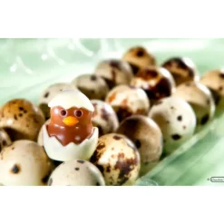 Moule Chocolat Poussin 33 mm (x12) Chocolate World