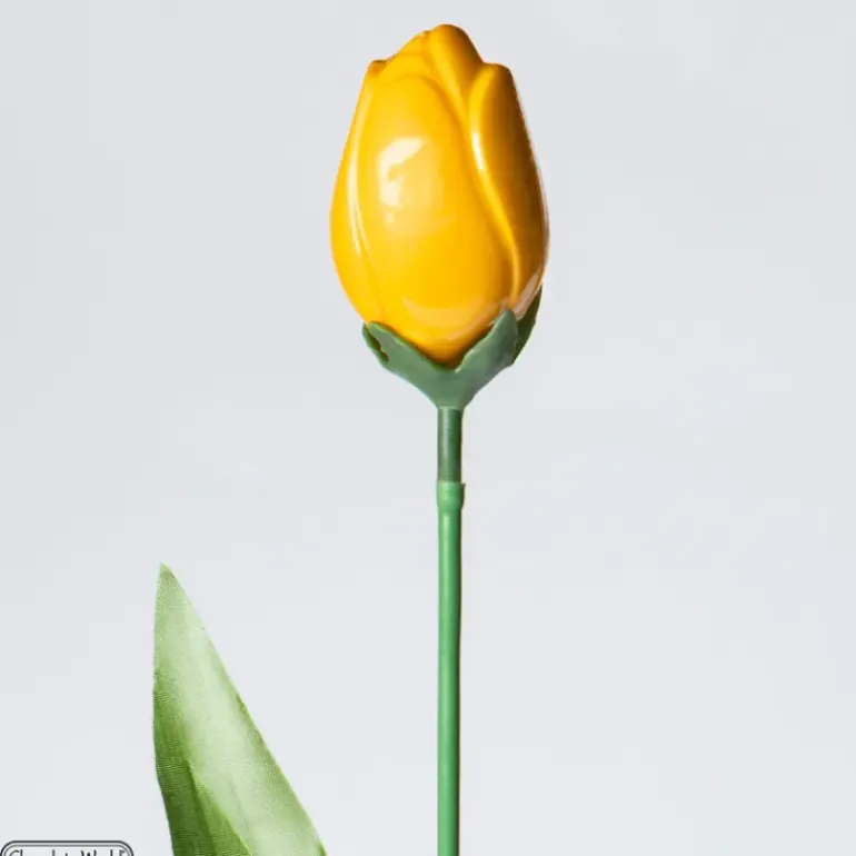 Moule Chocolat Tulipe 12 Cavités Chocolate World