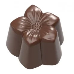 Moule Chocolat Violette 25 mm (x32) Chocolate World